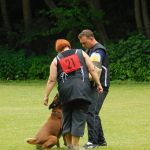 dscn0608