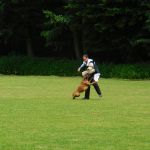 dscn0619