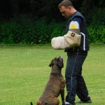 dscn0631