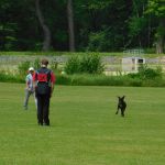 dscn0653