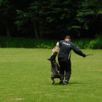 dscn0663