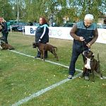 img 20150928 080234