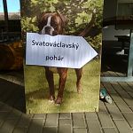 img 20150928 091227