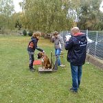 img 20151010 102640