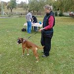 img 20151010 111013