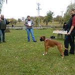 img 20151010 111059
