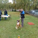 img 20151010 111536