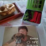 img 20160903 093027