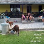 img 20160903 154059