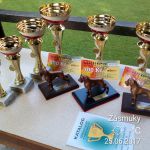 img 20170625 084416