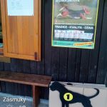 img 20170625 092403